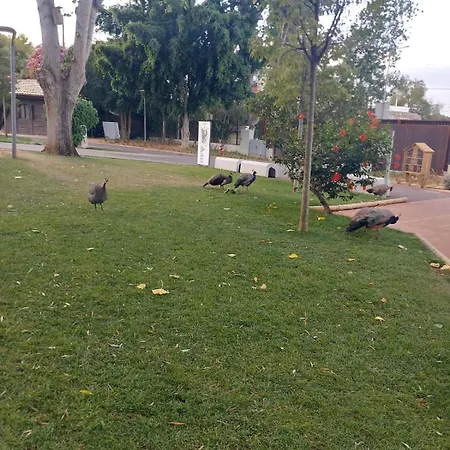 Convista * Portimão